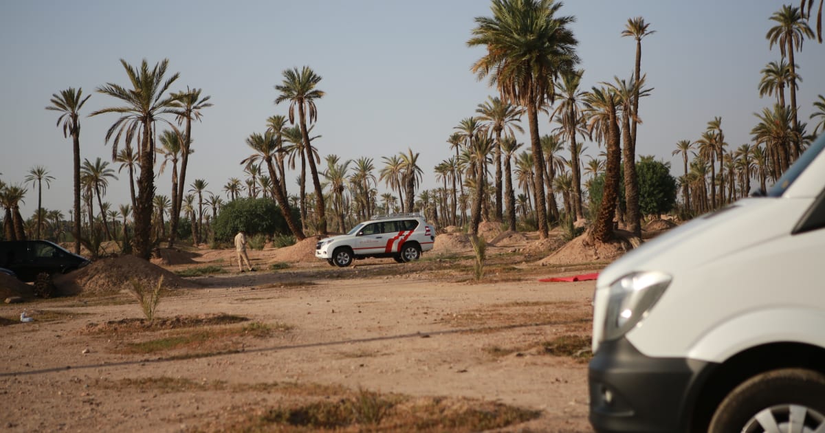 flotte écoresponsable transport
